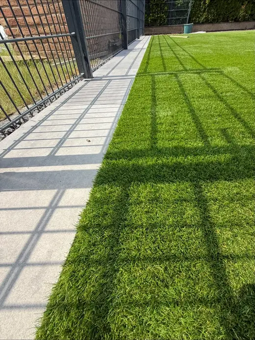 Verlegter Roll- bzw. Kunstrasen – Projekt von Bajramaj Garten- und Landschaftsbau